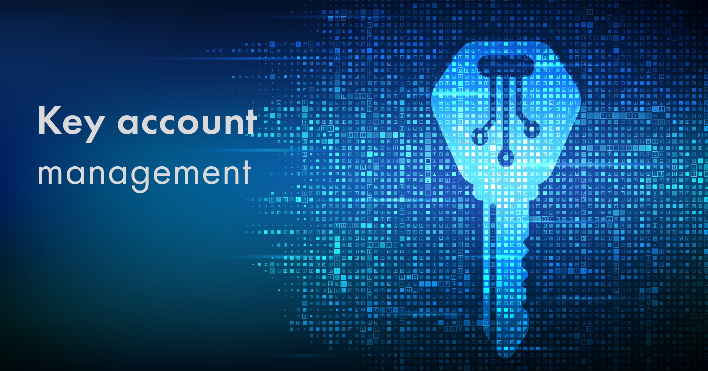 key account management case study